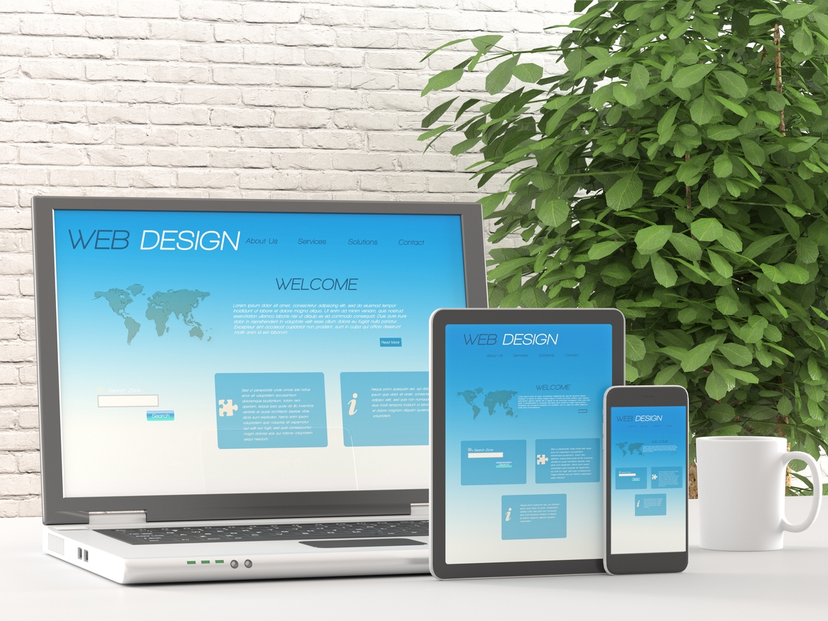 Website creation and development